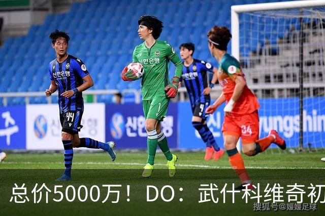 总价5000万！DO：武什科维奇初始转会费4600万镑，热刺有二转分成