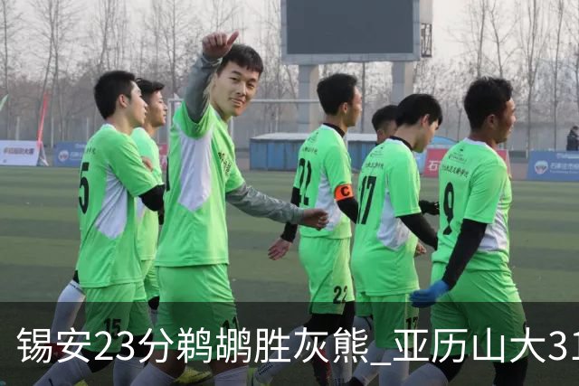 锡安23分鹈鹕胜灰熊 亚历山大31+10雷霆屠公牛